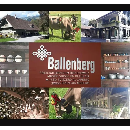 Maisonette 4.5 Zimmer, Naehe Ballenberg Hofstetten bei Brienz Exterior foto