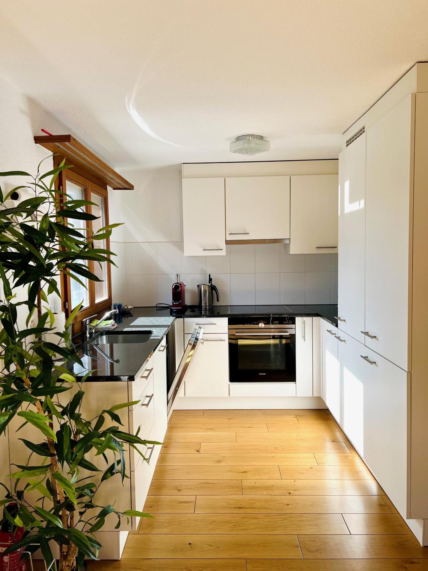 Maisonette 4.5 Zimmer, Naehe Ballenberg Apartamento *